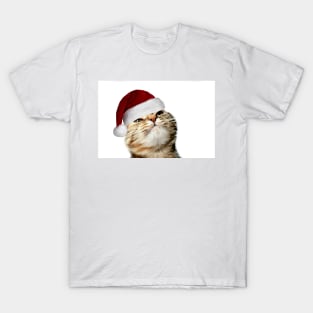 Christmas Is About Me T-Shirt